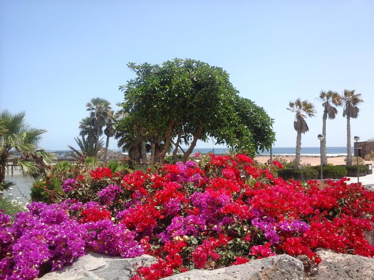 Ferienwohnung Sol Y Luz Caleta De Fuste Exterior foto